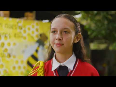 Solve for Tomorrow Perú 2025 - Colmenas con conciencia| Samsung