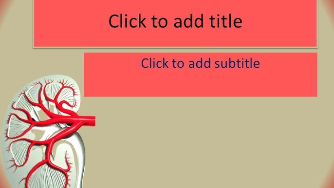 Free Kidney PowerPoint Template Download - YouTube free-kidney-powerpoint-template-download-youtube