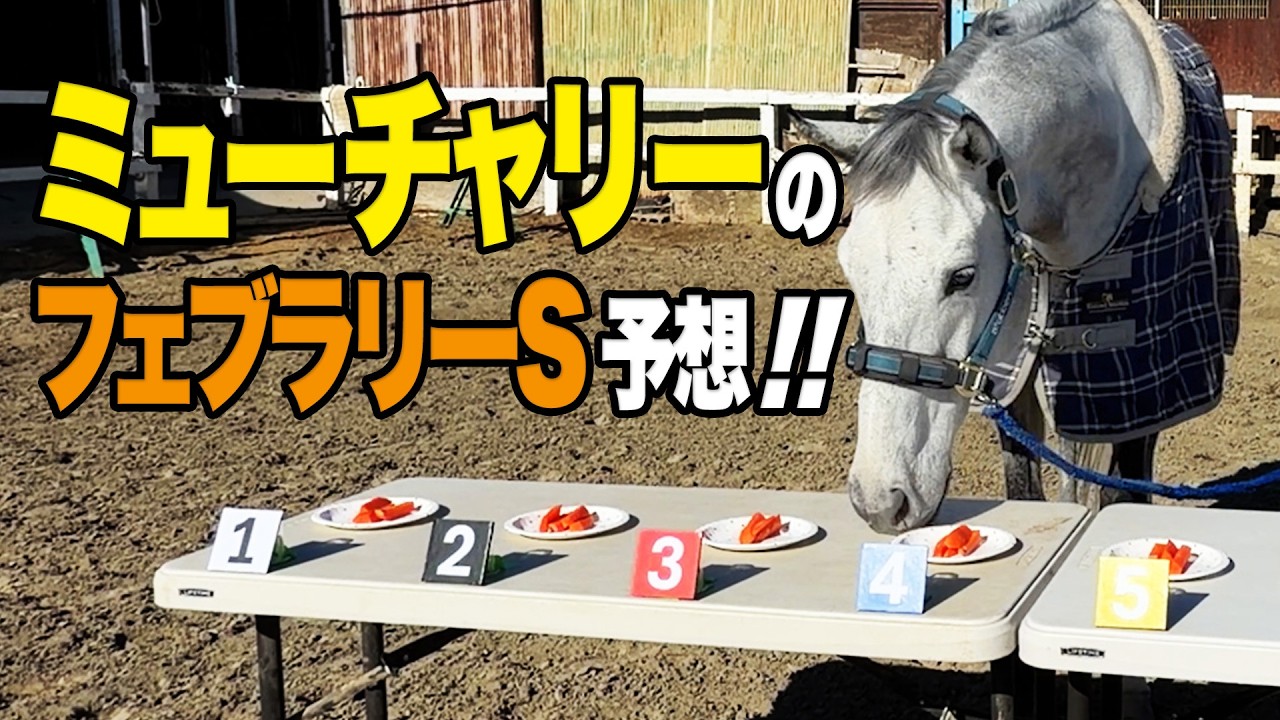 フェブラリーS 3年連続出走のミューチャリーさんに今年の本命を聞いてみた