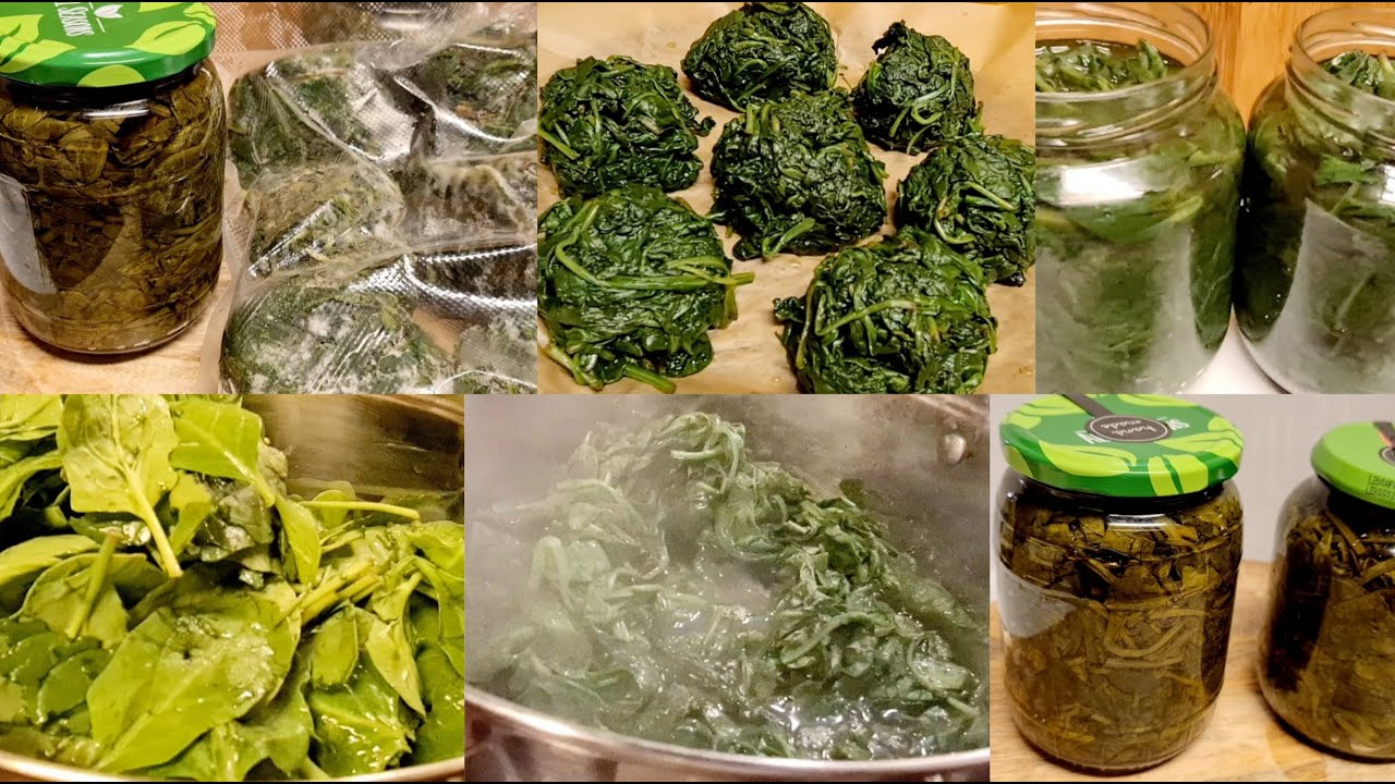 Comment Je Réalise La Conservation Des Épinards 