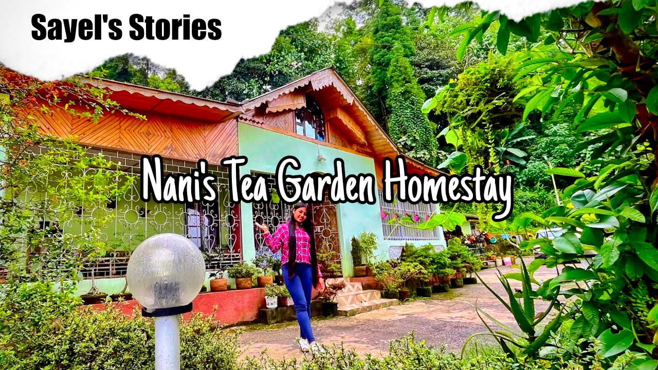 Nani's Tea Garden Homestay Bengali Vlog Offbeat Pokhriabong Turzum