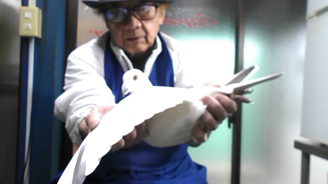 ２０２５－０２－０７　白鳩格安分譲