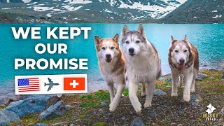 Hiking In The SWISS ALPS  Making DREAMS COME TRUE | Husky Squad