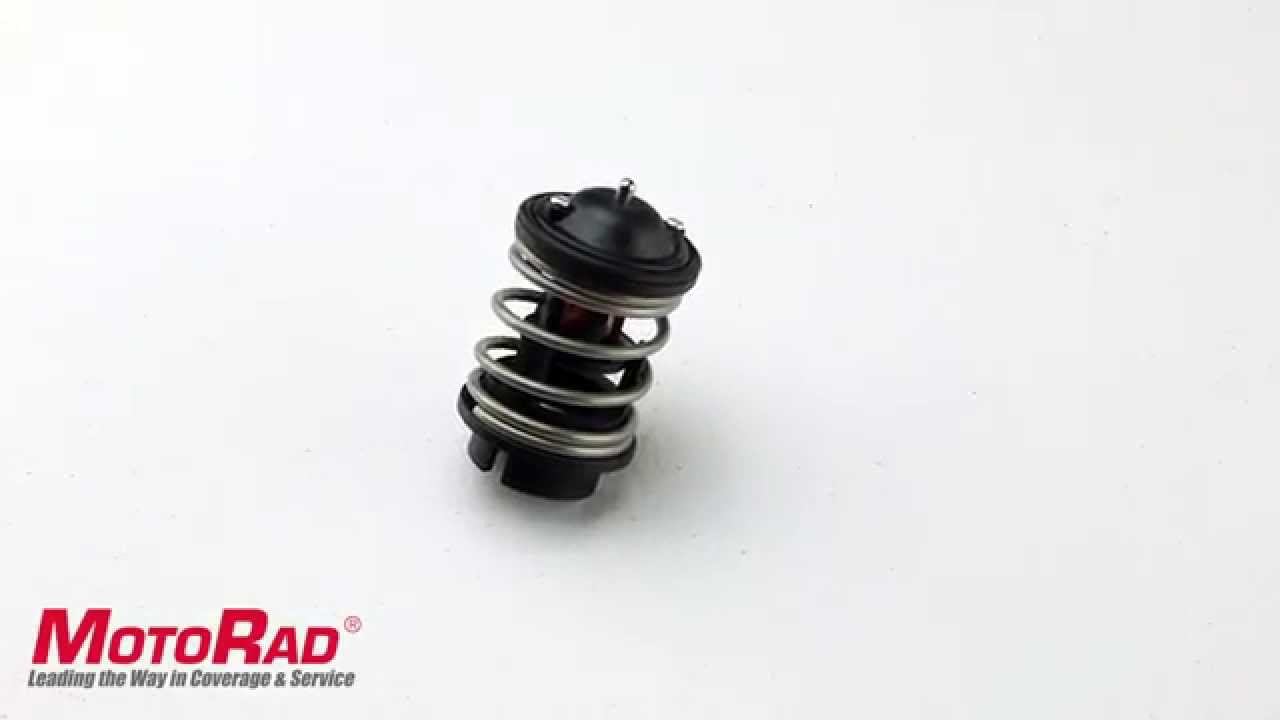 Motorad 733-176 Thermostat