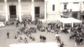 Flashmob sia