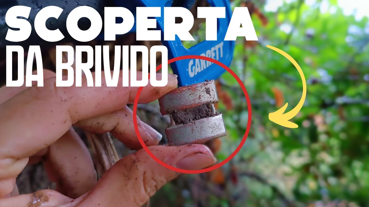 🌲 Chiara torna sul sentiero della Storia: il ritrovamento dell'anno in Linea Gotica con Vortex VX9!