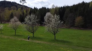 Celebrity Documenting everything can change your Life Net Worth