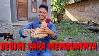 VIRAL.... BONEKA AYAM CUMA BERMODALKAN LEM.
