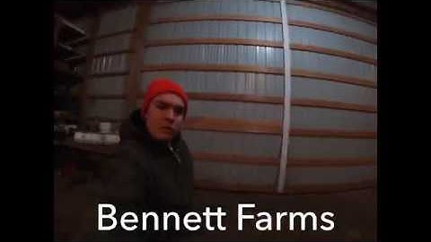 Chisel Plowing in January