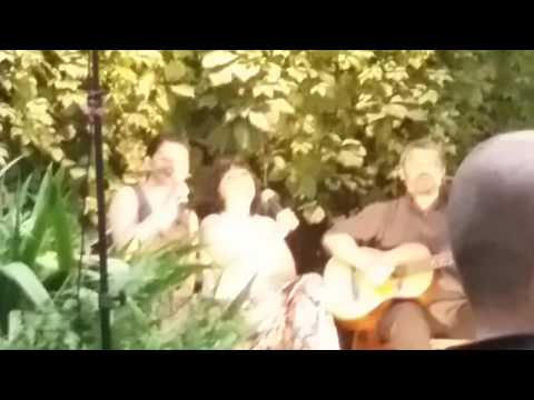 თეთრი გვირილა