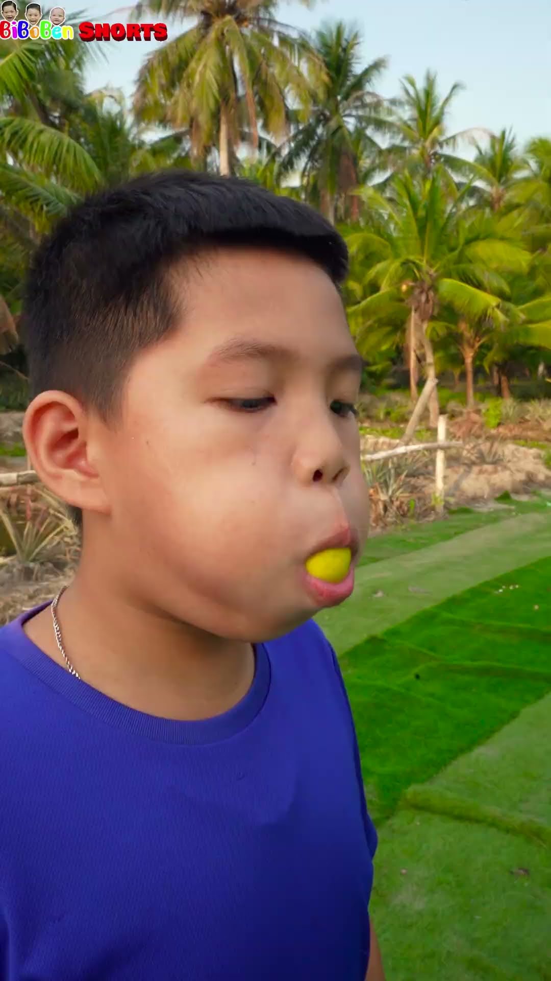 Funny video | Ping Pong