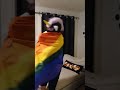 grown man, btw. #cringe #furry #furries #luchador #unicorn