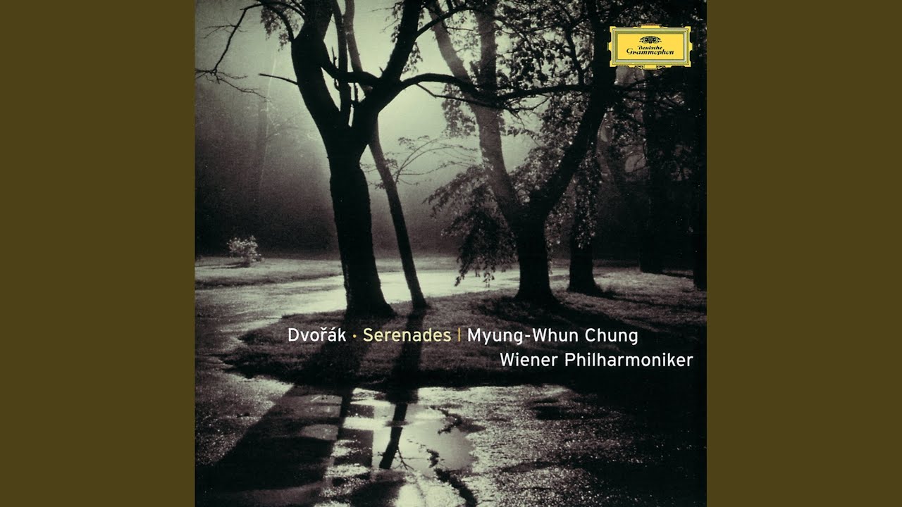 Dvořák: Serenade for Strings in E Major, Op. 22, B. 52: V. Finale