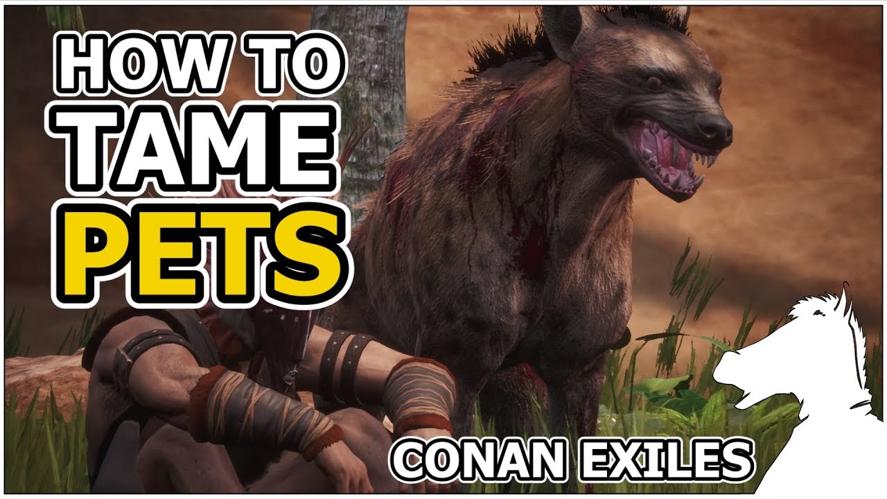 How to tame PETS | CONAN EXILES - YouTube