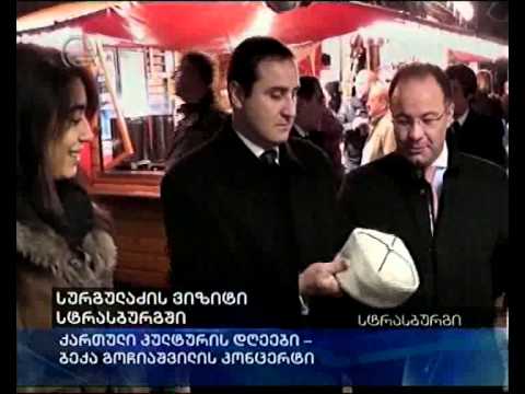 სურგულაძის ვიზიტი სტრასბურგში