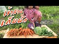 เข้าสวนเก็บผักกับโนอะ ปลูกทุกอย่างที่กิน21 มิถุนายน 2561