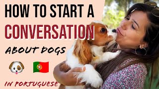 European Portuguese | How to Start a Conversation - Dog Edition!