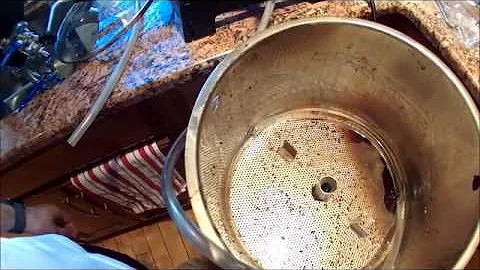 Guinness Clone using the Grainfather