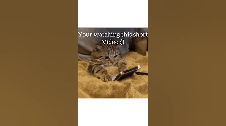 I know where you live :))