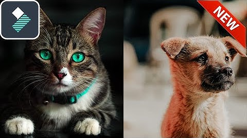 Filmora 9.2 Split Screen Tutorial | Filmora 9.2 Tutorial NEW!