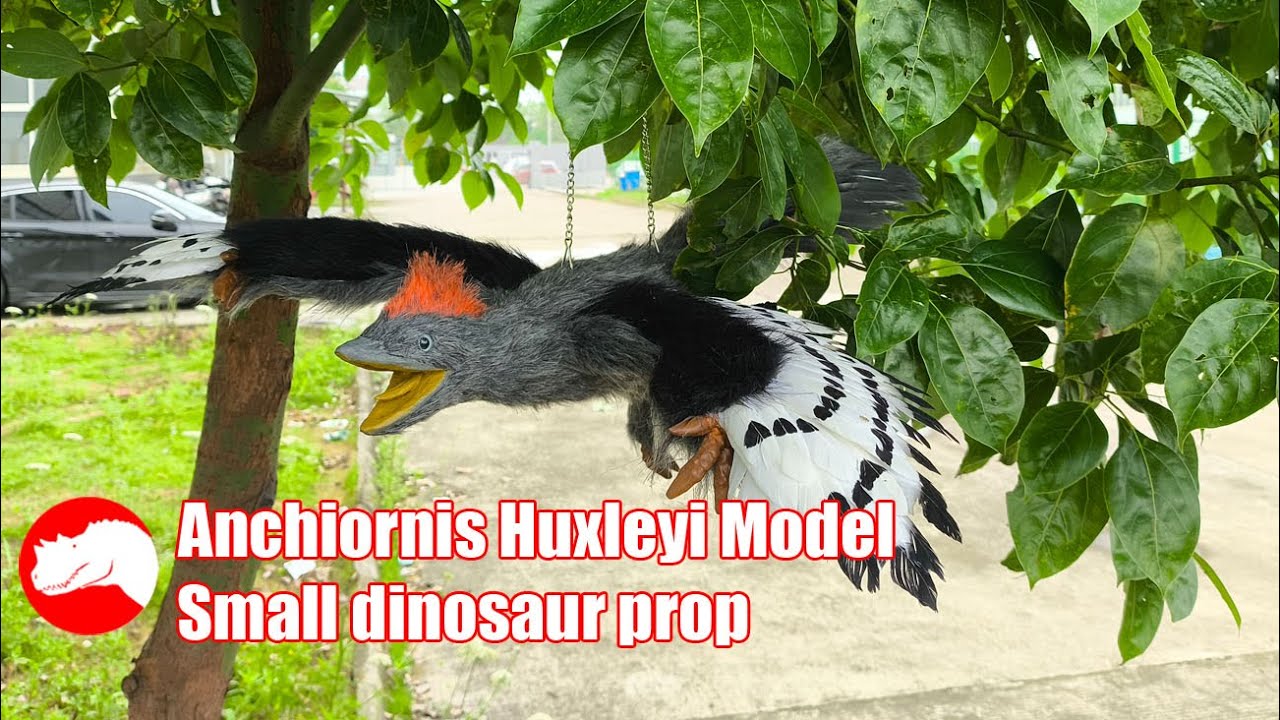 Vivid Anchiornis Huxleyi Model - Customized Small Dinosaur Prop