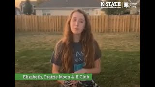 Download Lagu 4-H Poultry Project MP3