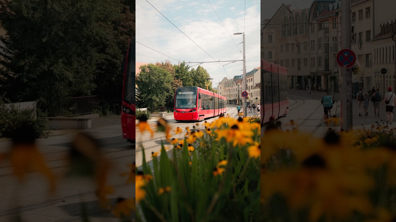 Fujifilm X100F 🤭  |