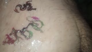 Two Dengir Snake New Design Temporary Tattoo Sticker Tattoo For Girls New Design Temporary Tattoo