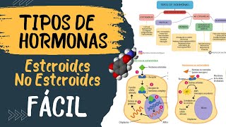 🧬 TIPOS DE HORMONAS ❌ (diferencias) | Esteroideas y no esteroideas