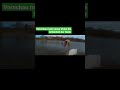 Die Schönheit der Natur mein neues Video