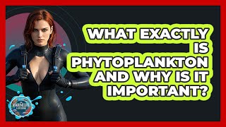 What Exactly Is Phytoplankton And Why Is It Important? - The Marine Life Explorer