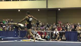 Stacey Ervin – Floor – 2015 Winter Cup Finals