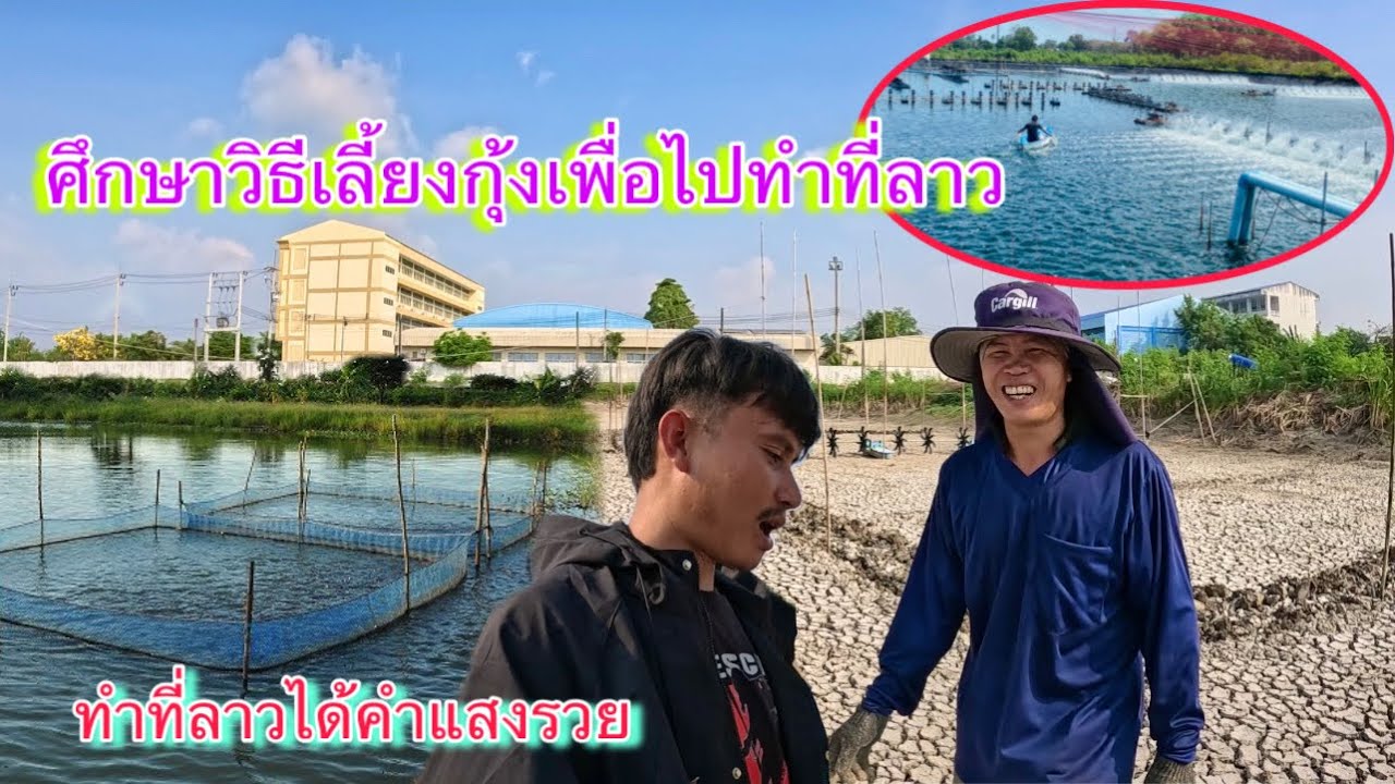คำแสงลองไปศึกษาวิธีเลี้ยงกุ้งดู ถ้าเอากลับไปทำที่ฝั่งลาวได้จะดี￼มากเลย