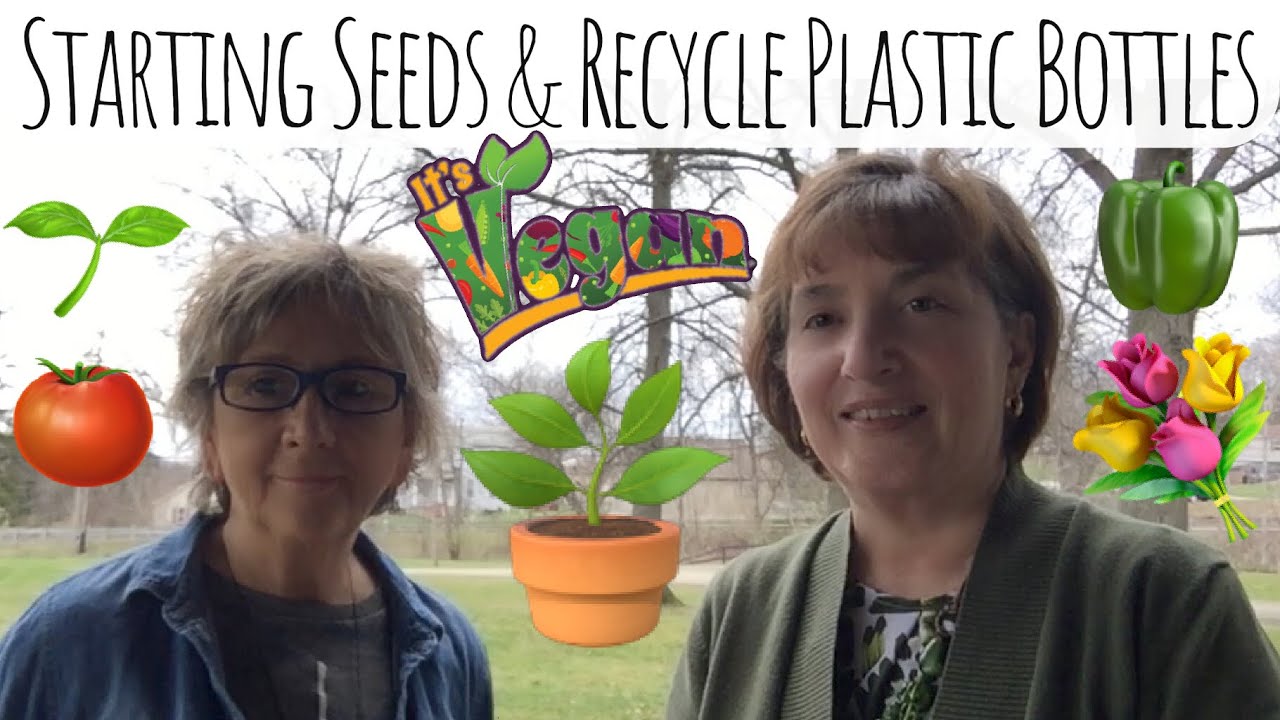 Starting Seeds & Recycling Plastic Bottles