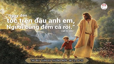Suy niệm Lời Chúa | Thứ Bảy tuần XIV Thường Niên | Mt 10, 24-33 | Lm Ant. Nguyễn Cao Siêu SJ