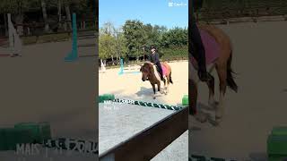 Donuts✨🐾#poneys #shorts #vivelesponeys