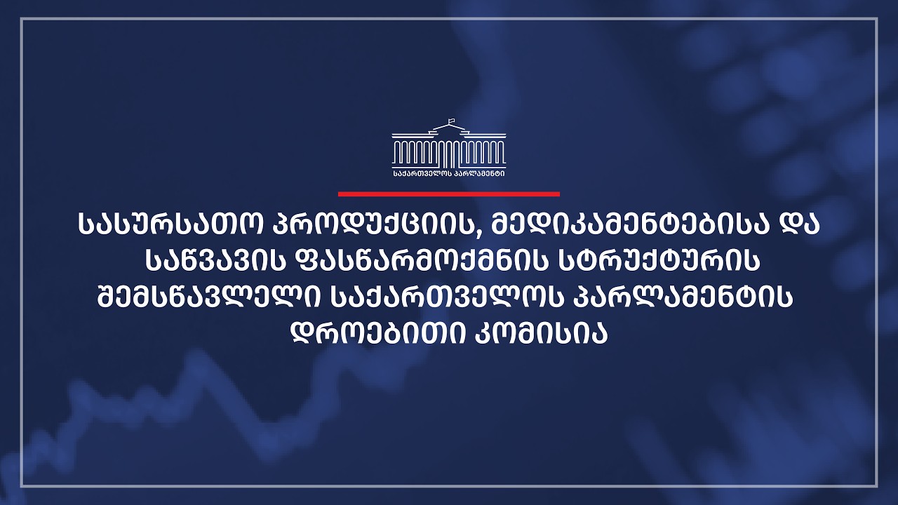 საქართველოს პარლამენტის დროებითი კომისიის სხდომა N5 - 25.02.2026