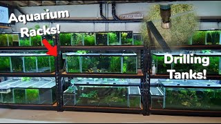 Fish Room Aquarium Racks I Use, How To Drill Tanks