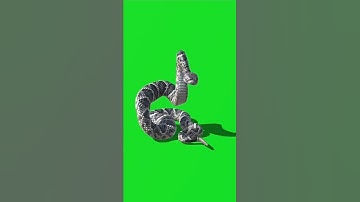 Saamp green screen video#shorts