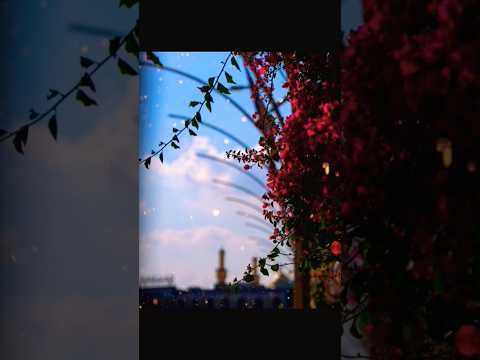 حبيبي الغالي شاغل بالي