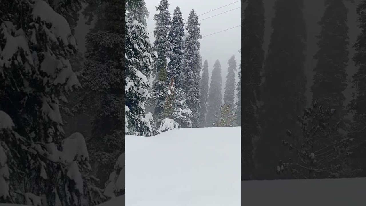 Snowfall Serenity: A Majestic Ride Through Nature's Blanket At Lasdana Bagh AJK 