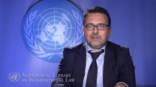 Vicent Chetail on the Sources of International Migration Law screenshot 5