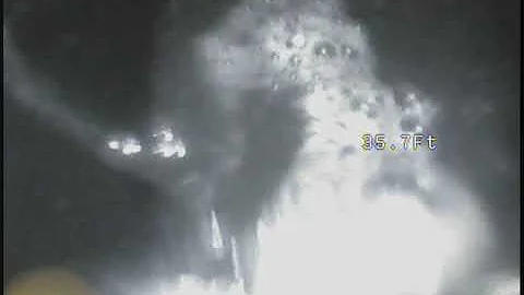 Sewer Roots, video inspection