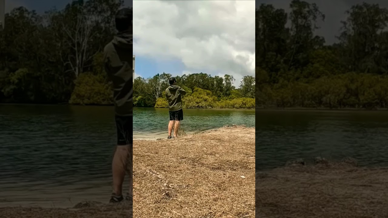 catching whiting on lures 