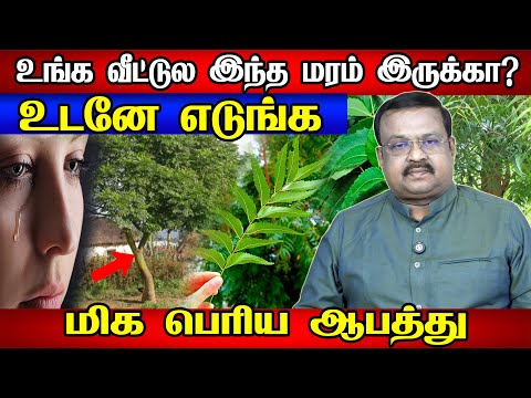 வீட்டு வாசலில் மரம் இருந்தா விபரீதமா? | வாஸ்து ஆராய்ச்சியாளர் Dr. Ravi Ramana | vastu tips tamil