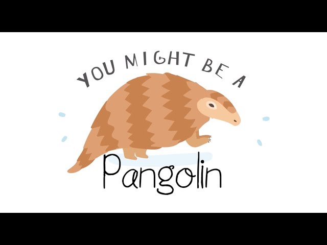 Pangolin SONGS | Modern Kid | Slugs u0026 Bugs class=