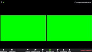 Видеозвонок в Zoom ФУТАЖ GREEN SCREEN