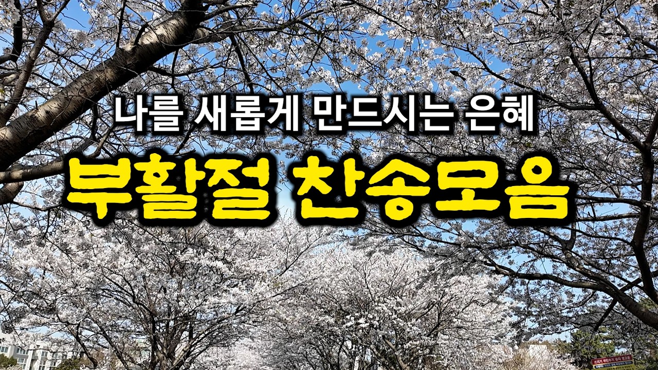 [부활절찬송모음] 무덤에 머물러| 부활하신 예수님을 찬양 | 유튜브 최고의 찬송가 시리즈 | 중간광고없음 | Hymn
