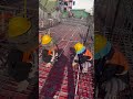 Activities installing rebar for slab #construction #shorts #building #civilengineering