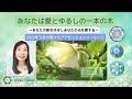 2023年3月のマリアアセンション(地球覚醒)メッセージ「あなたは愛とゆるしの1本の木」マリアアセンションガイドKeiko Tokino